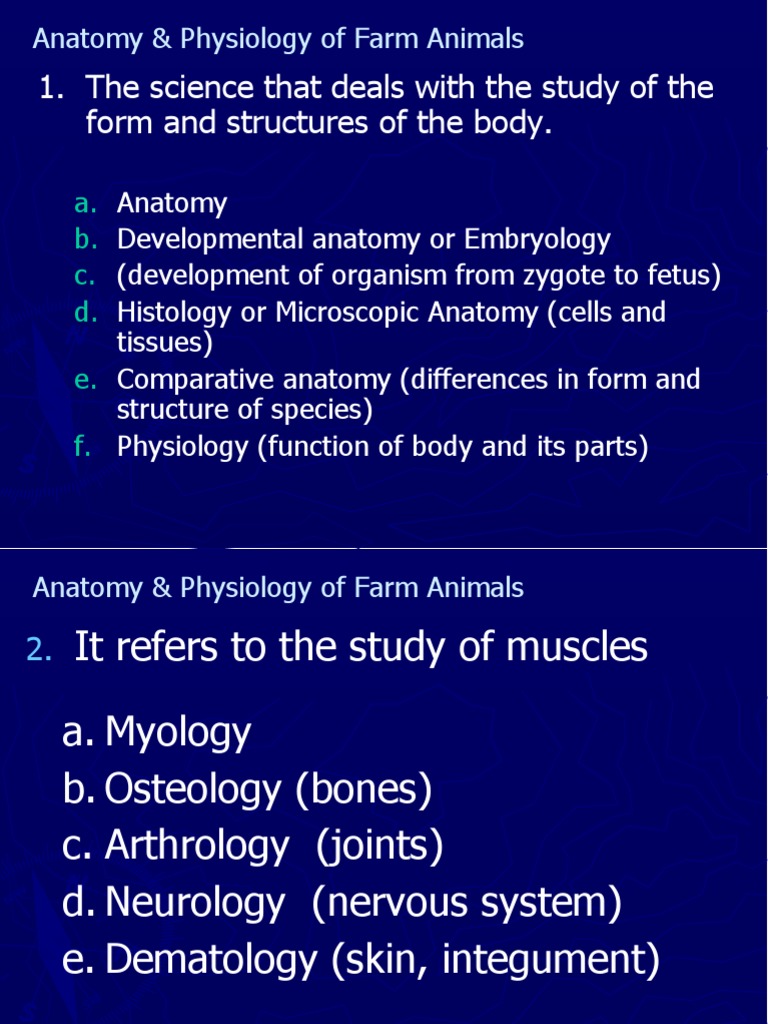 Anatomy intelligence overview