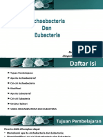 Archaebacteria Dan Eubacteria