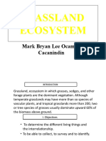 Grassland Ecosystem: Mark Bryan Lee Ocampo Cacanindin