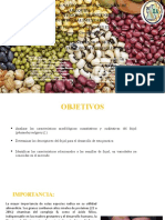 Practica Nº 4 Descripcion de frejoles y legumbres.pptx