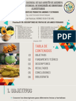 Practica 5 - Diapositivas - Viernes 3.50 PDF