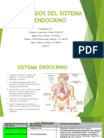 Sistema Endocrino Presentacion.
