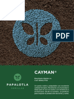 Cayman PDF