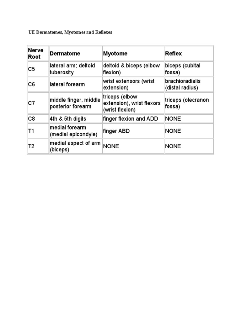 UE Dermatomes, Myotomes & Reflexes Guide | PDF