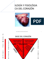 1-MORFOLOGIA-FISIOLOGIA-BASICA-  DEL-CORAZON.pdf
