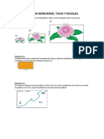 Repaso examen semejanza