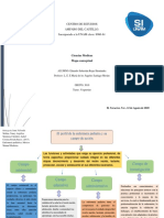 Mapa Conceptual Enfermera Pediatrica PDF