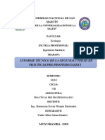 Informe técnico de prácticas pre-profesionales sobre sistemas de alcantarillado