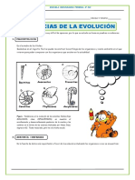 Actividad 10. Evidencias-de-la-Evolución-para-Primero-de-Secundaria