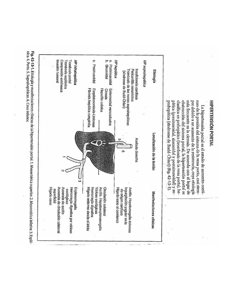 hematogen cu vene varicoase de la venele varicoase trebuie sa sune sânge