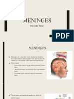 Meninges: Manvendra Jhalani