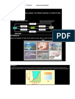 Ale Quimica PDF