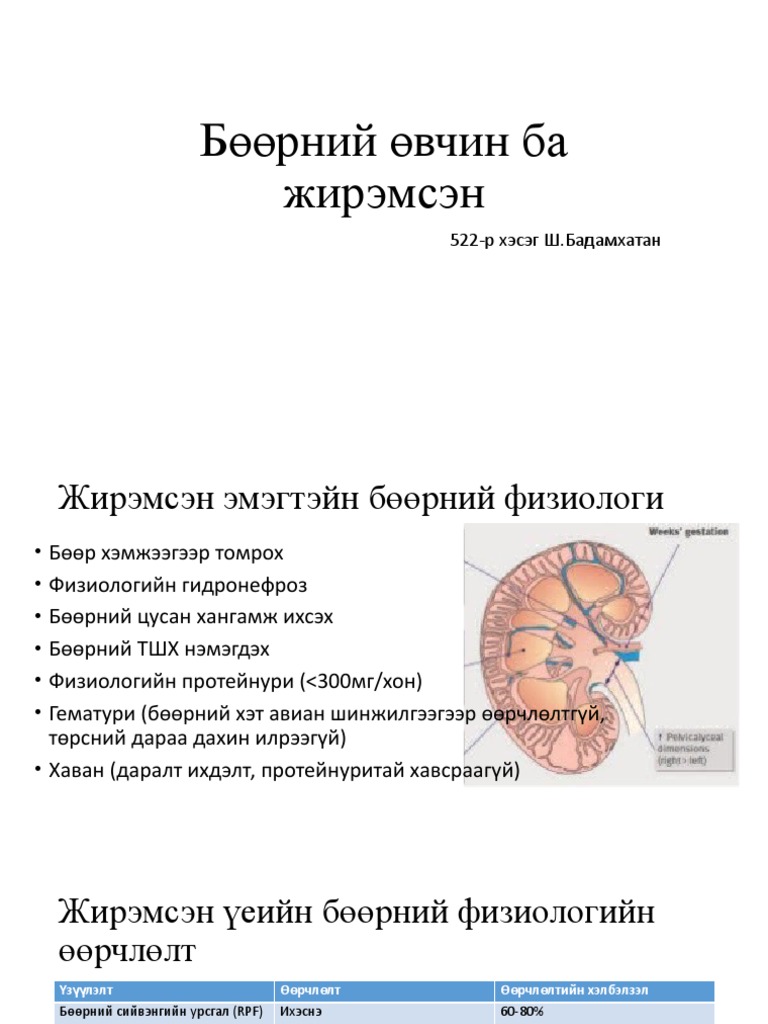 Бөөрний өвчин ба жирэмсэн | PDF