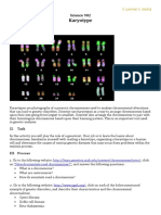 7 +Karyotype+Webquest