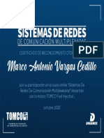 Marco Antonio Vargas Cedillo PDF