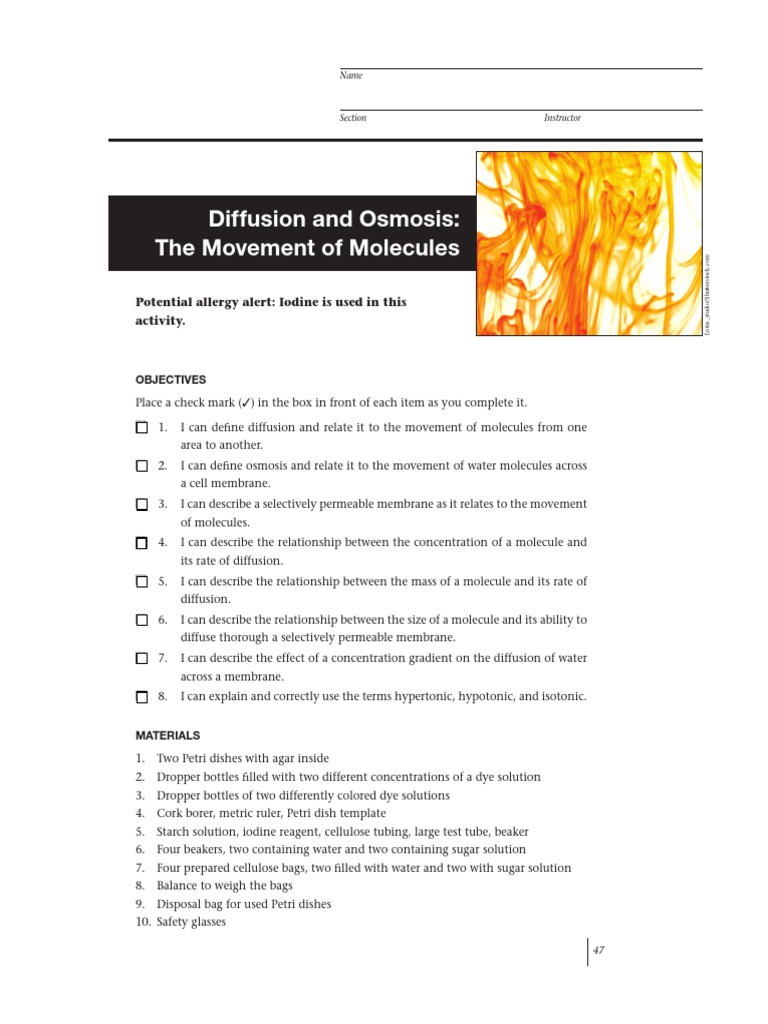 Diffusion and Osmosis Lab Activity PDF PDF Osmosis Chemistry