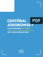 PDF Metamundo Introduccion PDF