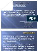 La estructura trófica y flujo de energía en los ecosistemas