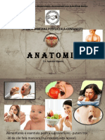 Anatomie curs 8.pdf