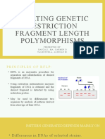 Locating Genetic Restriction Fragment Length Polymorphisms