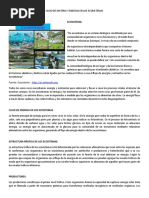 Flujo de Energia y Materia en Los Ecosistemas