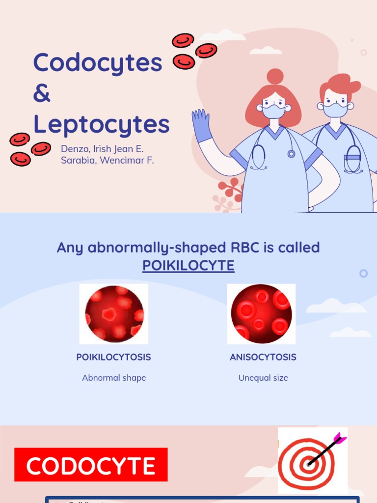 Codocytes & Leptocytes: Denzo, Irish Jean E. Sarabia, Wencimar F | PDF