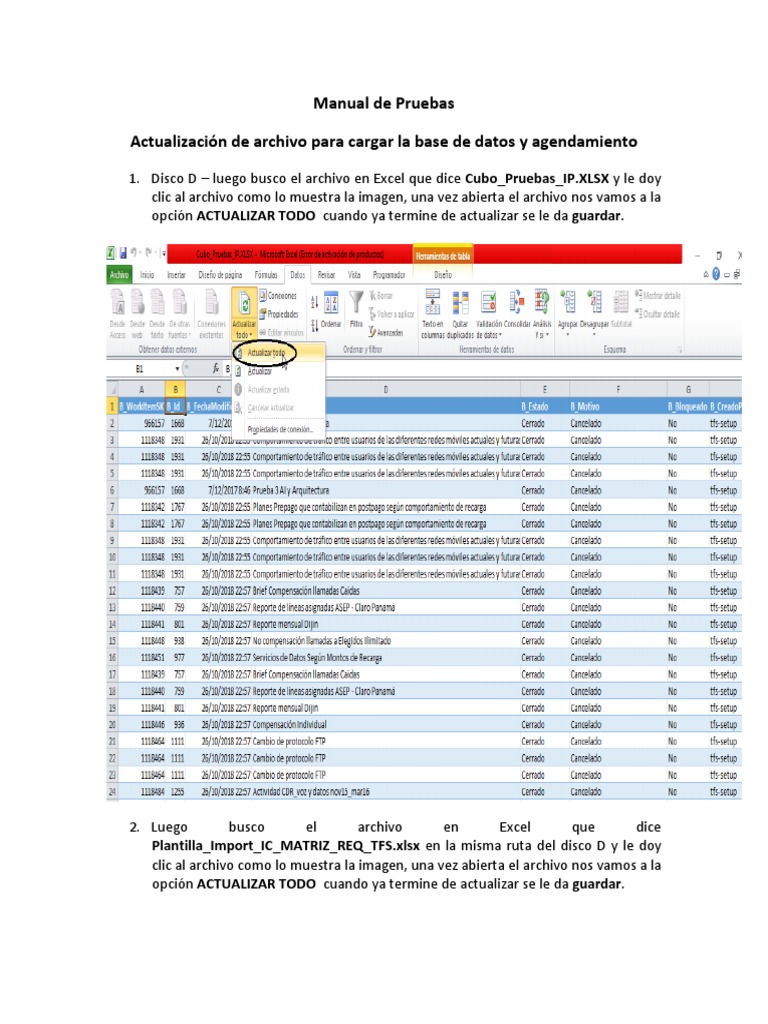 Manual de Pruebas PDF | PDF | Archivo de computadora | Microsoft Excel