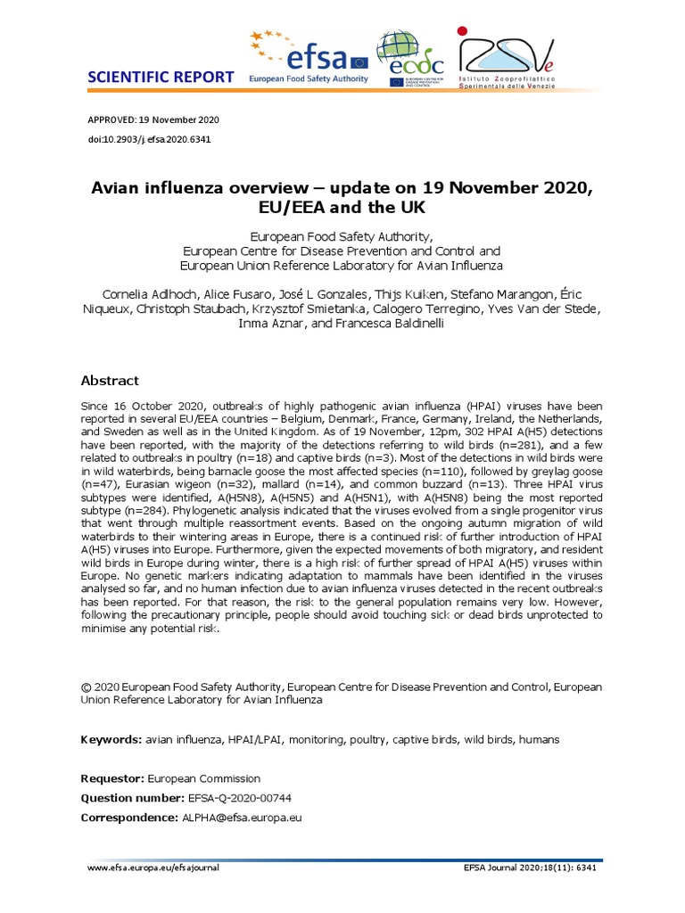 Influenza Aviaria | PDF | Avian Influenza | Influenza A Virus Subtype H5 N1