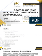 Ensayo Flat Jack