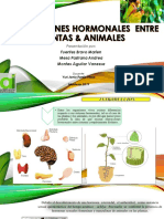 INTERACCIONES HORMONALES ENTRE PLANTAS & ANIMALES - Original PDF