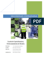 Seguridad Nacional Sbte. Parra Flores