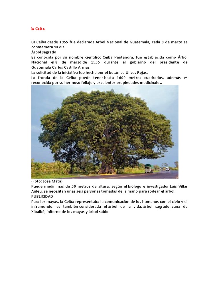 La Ceiba PDF