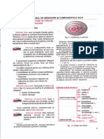 Marimi Fizice PDF