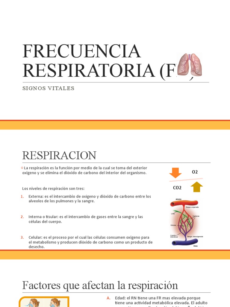 Definición y Tipos de Frecuencia Respiratoria | PDF | Sistema ...