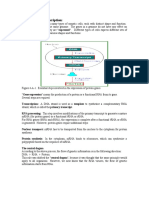 Overview On Transcription