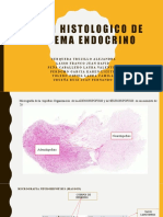 Histología glándulas endocrinas 40c