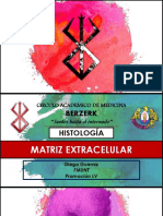 Matriz Extracelular PDF