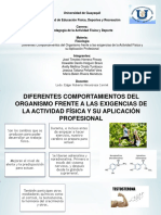 DIFERENTES COMPORTAMIENTOS DEL ORGANISMO FRENTE A LA ACTIVIDAD FISICA (2)