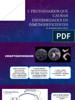 5.-Protozoarios Que Causan Enfermedades en Inmunodeficientes