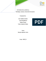 Actividad Colaborativa - 2 - Grupo - 230159 - 51