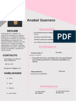 Resumen Profesional Anabel Guerrero Contabilidad Experiencia Clientes