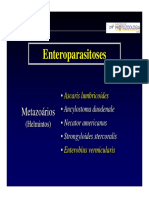 Aula Ascaris Protozoarios Ufsc PDF