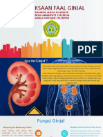 Kelompok 2 Faal Ginjal Kimia Klinik by Isna, Lidya, Nadila