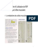L_utilisation_de_l_ATP_par_la_fibre_musculaire.pdf