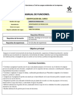 Diseño Manual de Funciones PDF