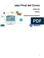 Naid Naid-438 Trabajofinal PDF
