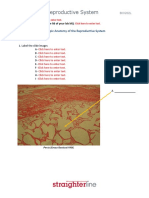 Experiment 1: Microscopic Anatomy of The Reproductive System