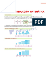 Induccion PDF