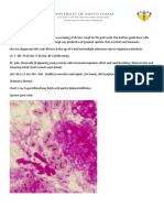 Case 11 Pseudomonas