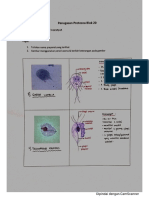 Tugas Protozoa-Felisa-058.pdf